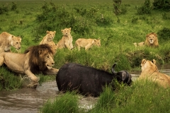 Biodiversity-Kenya-Safari-February-2022-2117