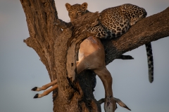 Kenya_August_2018-0116