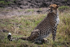 Kenya_August_2018-0290