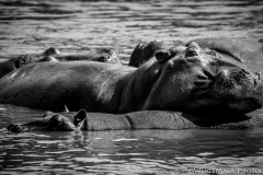 Kenya_August_2018-0329