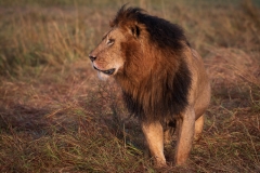 Kenya_August_2018-0335