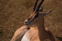 Kenya_August_2018-0393