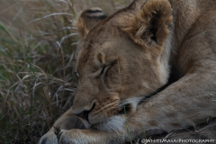 Kenya_August_2018-0491