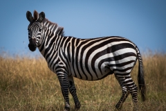 Kenya_August_2018-0944