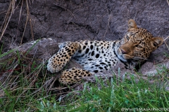 Kenya_August_2018-1010