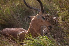 Kenya_August_2018-1187