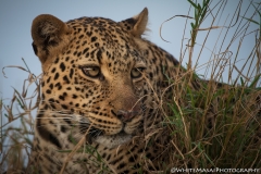 Kenya_August_2018-1262