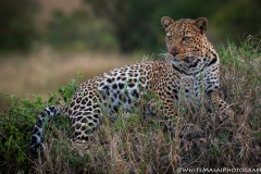 Kenya_August_2018-1370