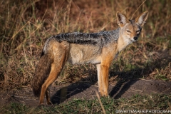 Kenya_August_2018-1415