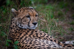 Kenya_August_2018-1592