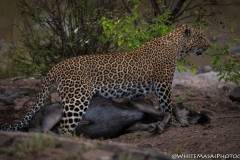 Kenya_August_2018-1643