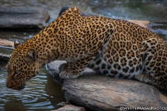 Kenya_August_2018-1763