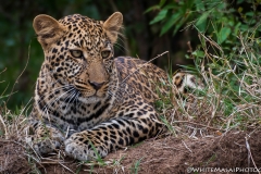 Kenya_August_2018-1850