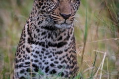 Kenya_August_2018-1895