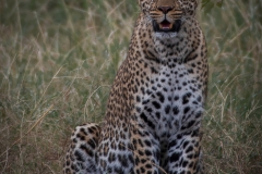 Kenya_August_2018-1934