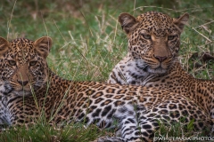 Kenya_August_2018-2-2