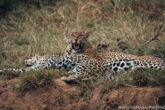 Kenya_August_2018-2156