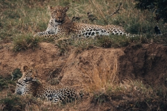 Kenya_August_2018-2219