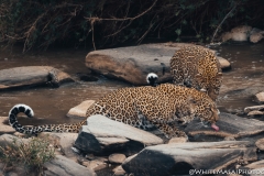 Kenya_August_2018-2342