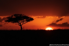 Kenya_August_2018-2472