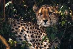 Kenya_August_2018-2495