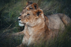 Kenya_August_2018-5355
