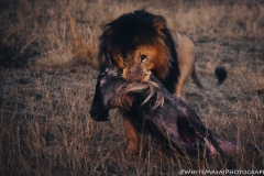 Kenya_August_2018-5401