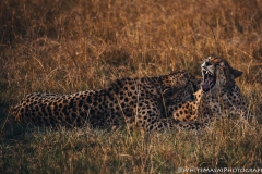 Kenya_August_2018-5458