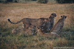 Kenya_August_2018-5506