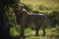 Kenya_August_2018-5575