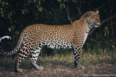 Kenya_August_2018-5865