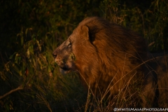 Kenya_August_2018-6286