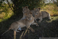 Kenya_August_2018-6559