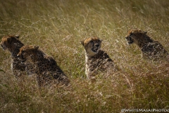 Kenya_August_2018-6761