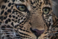 November_2018_Gallery_web-2-2