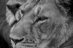 November_2018_Gallery_web-2