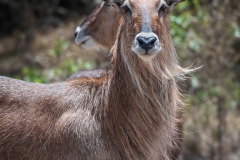 November_2018_Gallery_web-4467