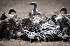 November_2018_Gallery_web-4482