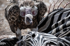 November_2018_Gallery_web-4506