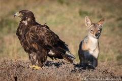 November_2018_Gallery_web-4569