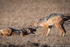 November_2018_Gallery_web-4575