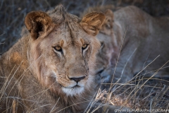 November_2018_Gallery_web-4580