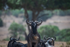 November_2018_Gallery_web-4613