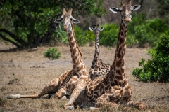 November_2018_Gallery_web-4625