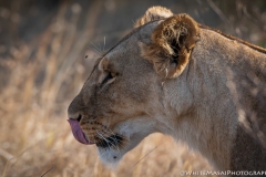 November_2018_Gallery_web-4633