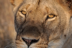 November_2018_Gallery_web-4645