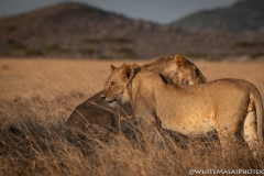 November_2018_Gallery_web-4653