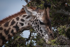 November_2018_Gallery_web-4662