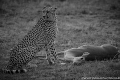 November_2018_Gallery_web-4684