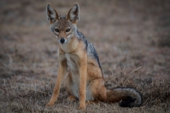 November_2018_Gallery_web-4699